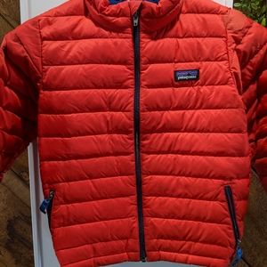 Patagonia puffer